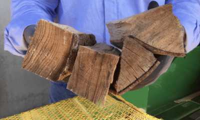 Opakowywanie drewna opałowego w łuparce automatycznej AutoSplit 350 Posch