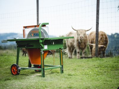 Tischkreissäge von POSCH Leibnitz